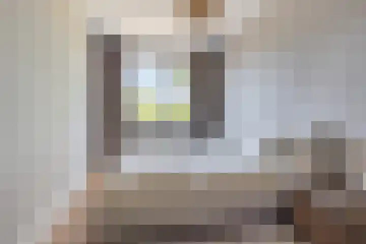 Jeneverbes 18 Heiloo thumbnail 21
