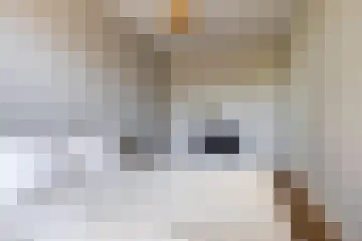 Jeneverbes 18 Heiloo thumbnail 22