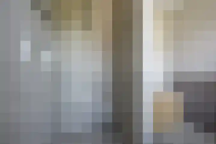 Jeneverbes 18 Heiloo thumbnail 29