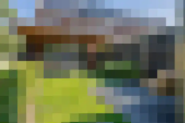 Jeneverbes 18 Heiloo thumbnail 35