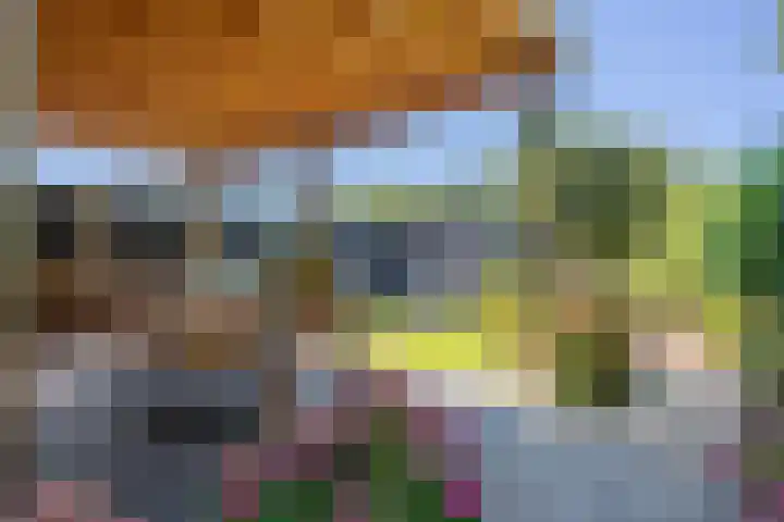 Jeneverbes 18 Heiloo thumbnail 36