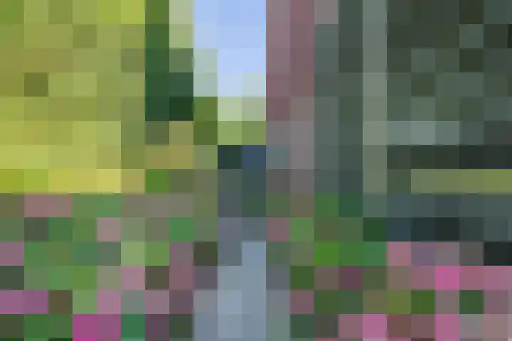 Jeneverbes 18 Heiloo thumbnail 39