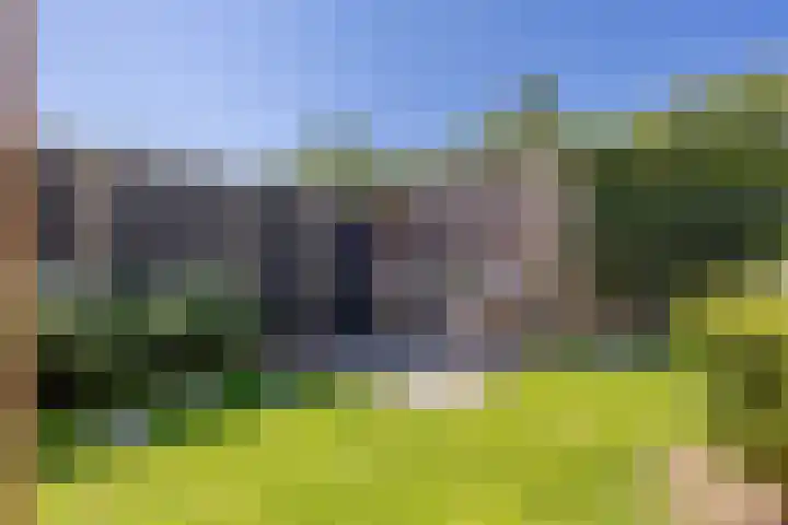 Jeneverbes 18 Heiloo thumbnail 40