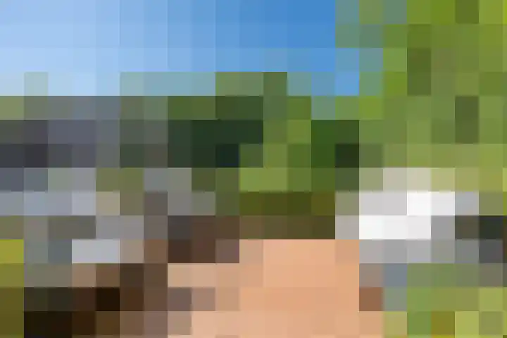 Jeneverbes 18 Heiloo thumbnail 41