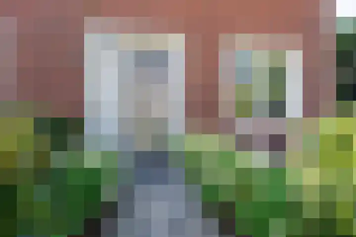 Jeneverbes 18 Heiloo thumbnail 43
