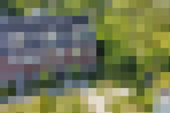 Jeneverbes 18 Heiloo thumbnail 46