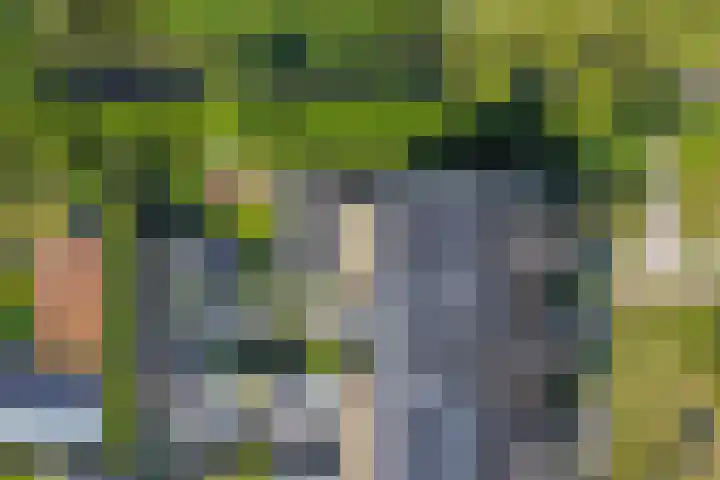 Jeneverbes 18 Heiloo thumbnail 47