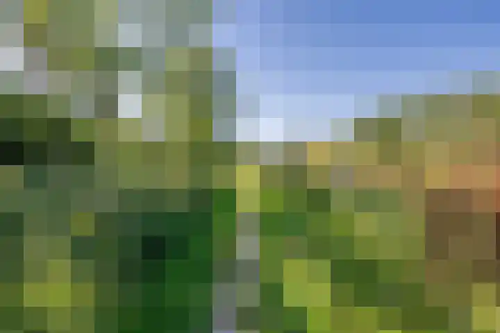 Jeneverbes 18 Heiloo thumbnail 49