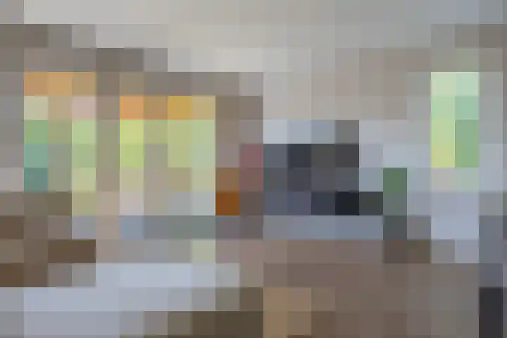 Jeneverbes 18 Heiloo thumbnail 5