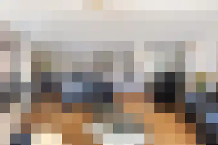 Jeneverbes 29 Oss thumbnail 11