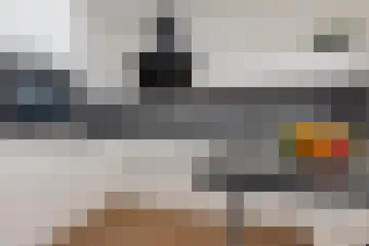 Jeneverbes 29 Oss thumbnail 15