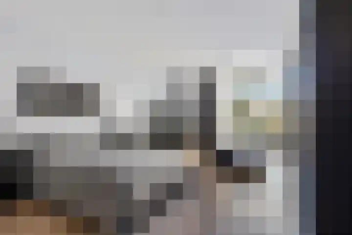Jeneverbes 29 Oss thumbnail 17