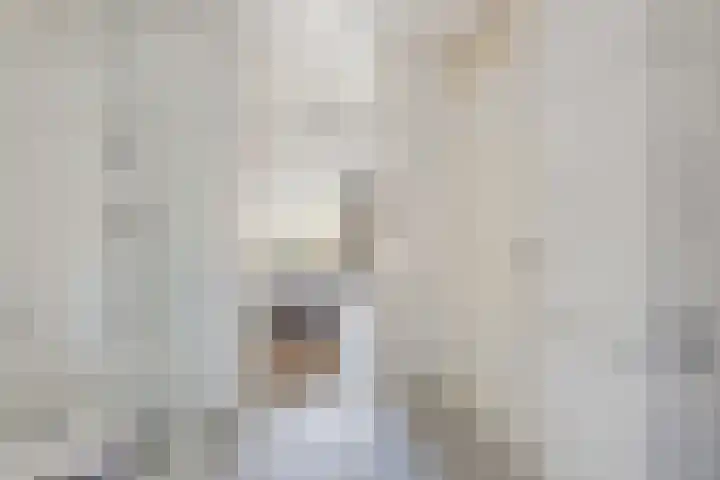 Jeneverbes 29 Oss thumbnail 21