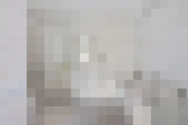 Jeneverbes 29 Oss thumbnail 22
