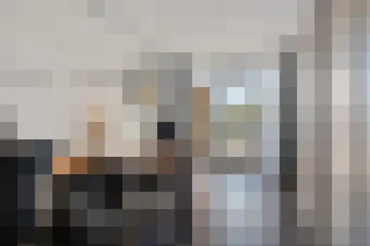 Jeneverbes 29 Oss thumbnail 25