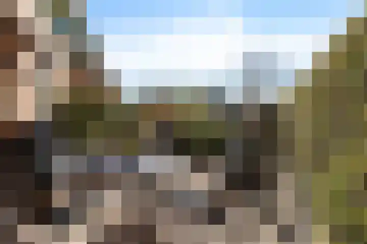 Jeneverbes 29 Oss thumbnail 28