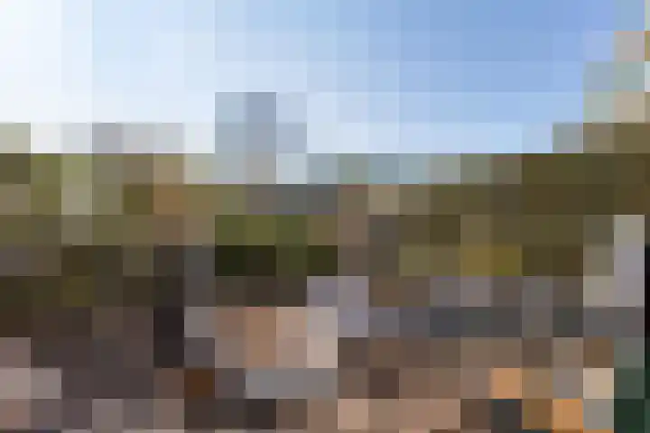 Jeneverbes 29 Oss thumbnail 29