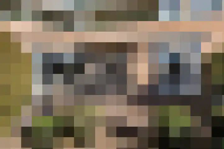 Jeneverbes 29 Oss thumbnail 30