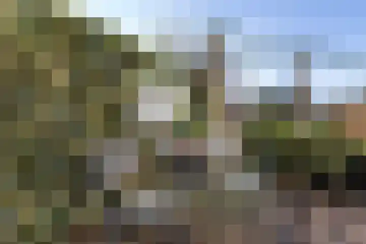 Jeneverbes 29 Oss thumbnail 31