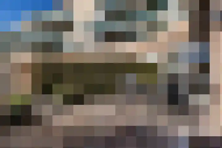 Jeneverbes 29 Oss thumbnail 32