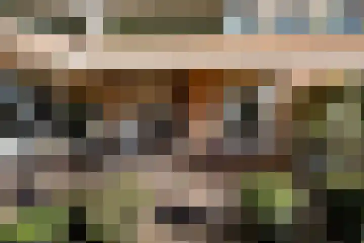 Jeneverbes 29 Oss thumbnail 34