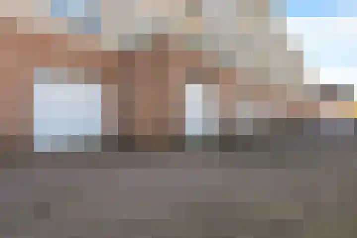 Jeneverbes 29 Oss thumbnail 35