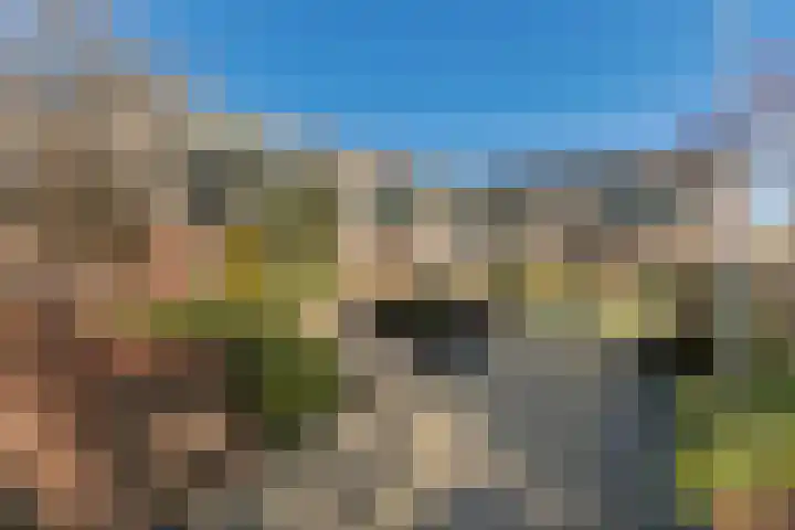 Jeneverbes 29 Oss thumbnail 37