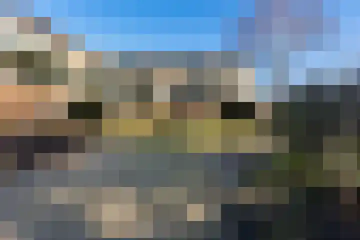 Jeneverbes 29 Oss thumbnail 38