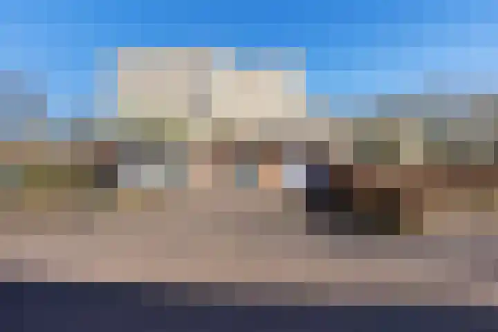 Jeneverbes 29 Oss thumbnail 42