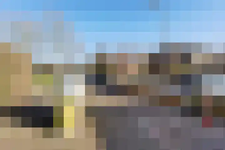 Jeneverbes 29 Oss thumbnail 44