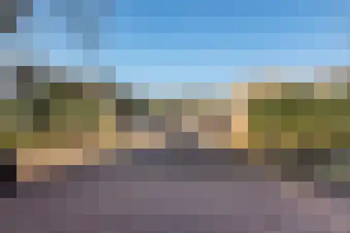 Jeneverbes 29 Oss thumbnail 46