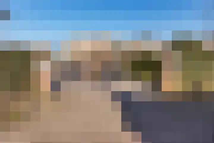 Jeneverbes 29 Oss thumbnail 47