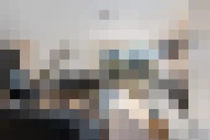 Jeneverbes 29 Oss thumbnail 9
