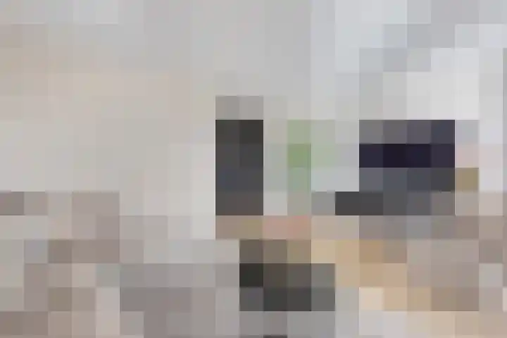 Jeneverbes 33 Borne thumbnail 10