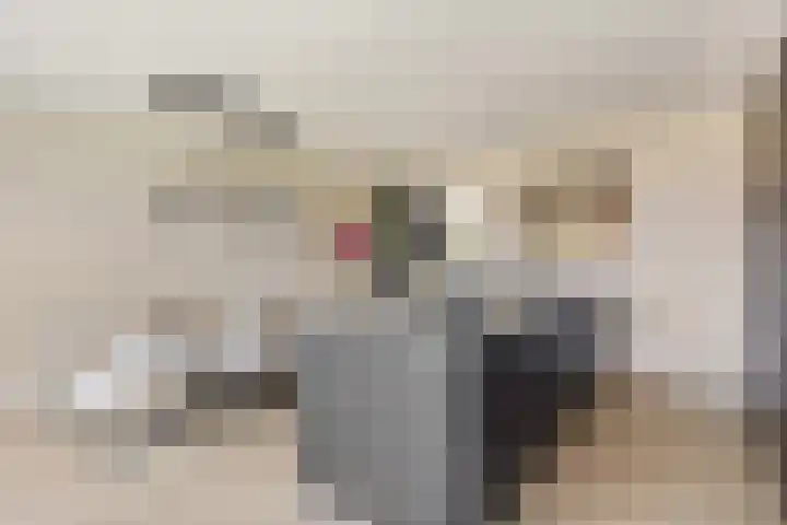 Jeneverbes 33 Borne thumbnail 12