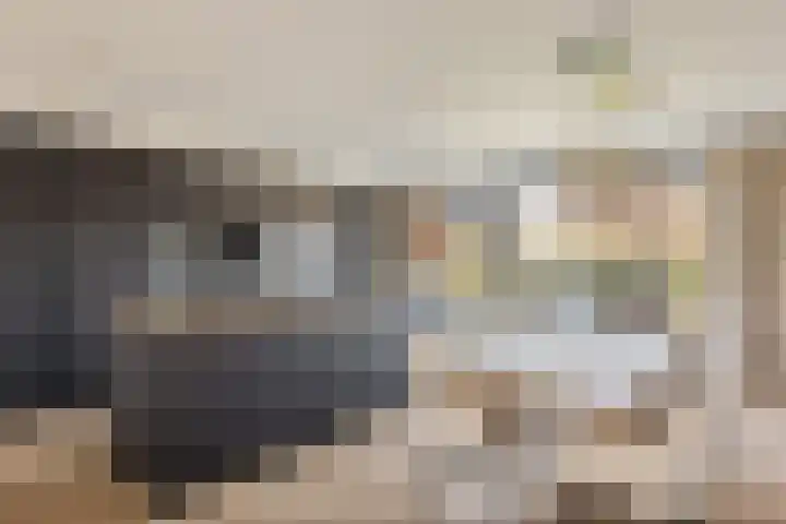 Jeneverbes 33 Borne thumbnail 13