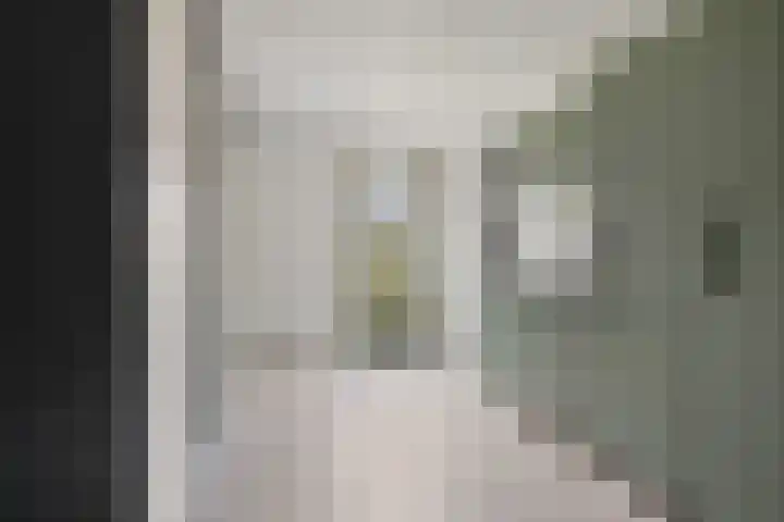 Jeneverbes 33 Borne thumbnail 14