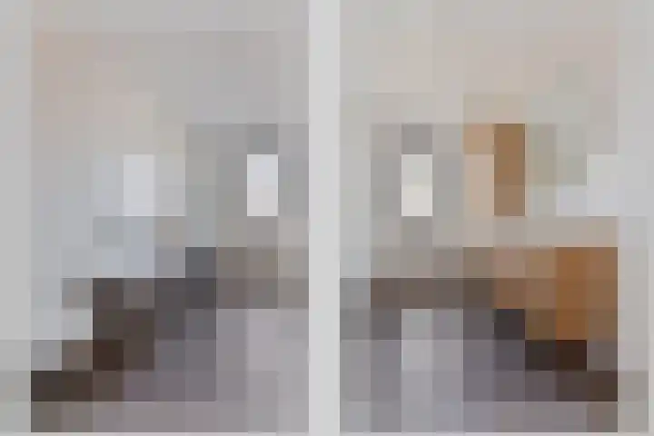 Jeneverbes 33 Borne thumbnail 15