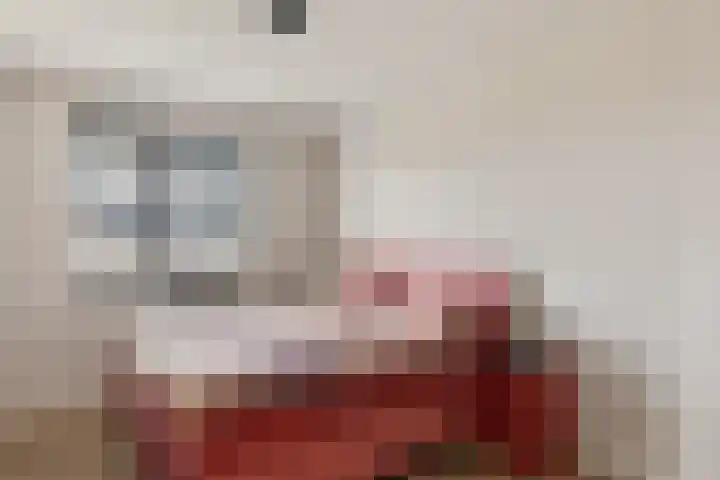 Jeneverbes 33 Borne thumbnail 16