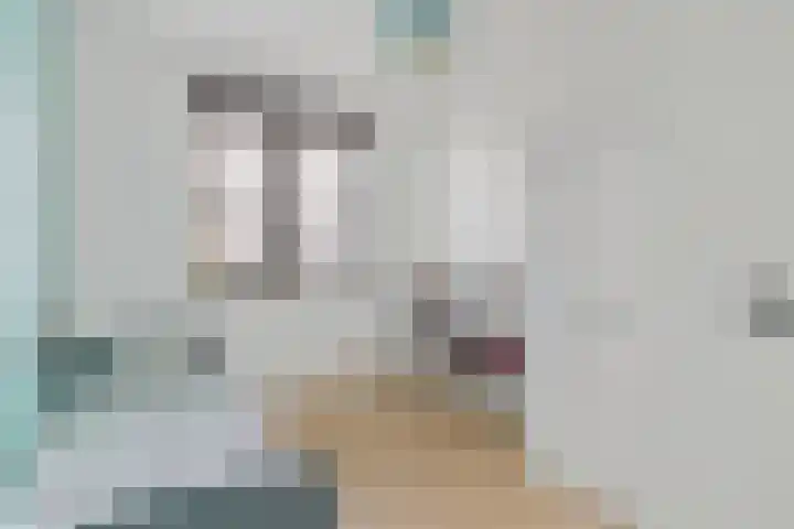 Jeneverbes 33 Borne thumbnail 19