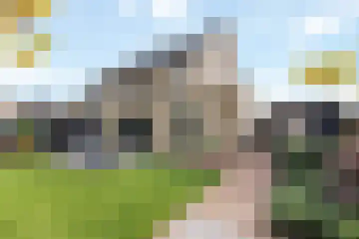 Jeneverbes 33 Borne thumbnail 22