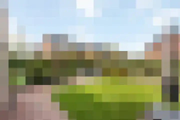 Jeneverbes 33 Borne thumbnail 25