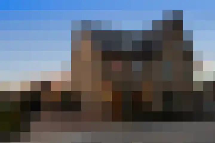 Jeneverbes 33 Borne thumbnail 26