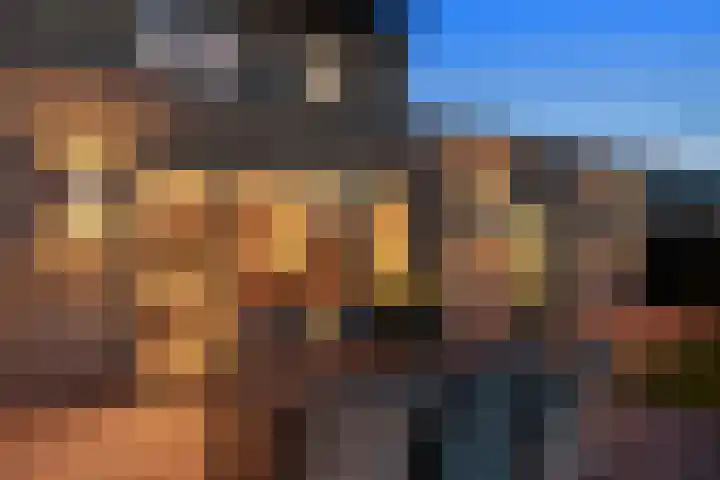 Jeneverbes 33 Borne thumbnail 28