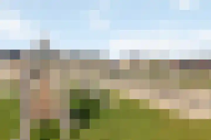 Jeneverbes 33 Borne thumbnail 7