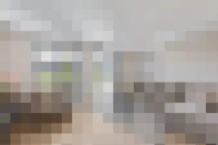 Jeneverbes 33 Borne thumbnail 8