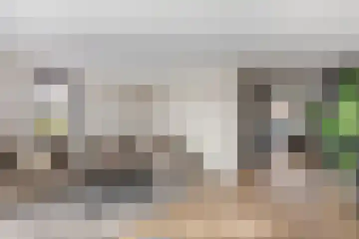 Jeneverbes 33 Borne thumbnail 9