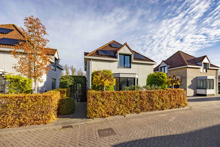 Jeneverbes 4 in Oisterwijk