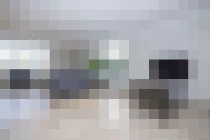 Jeneverbes 4 Oisterwijk thumbnail 10