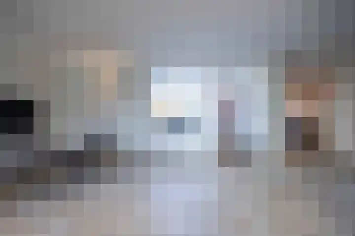 Jeneverbes 4 Oisterwijk thumbnail 11